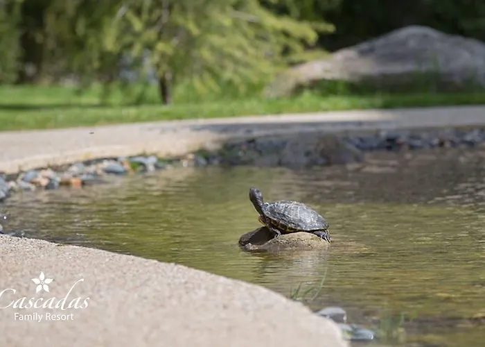 公寓式酒店 Cascadas Family 4*