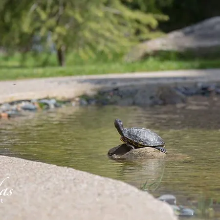 Appart hôtel Cascadas Family 4*